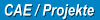 CAE / Projekte